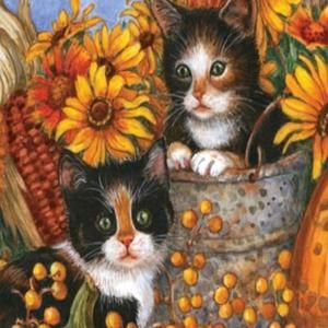 Meet your Posher, Maryann